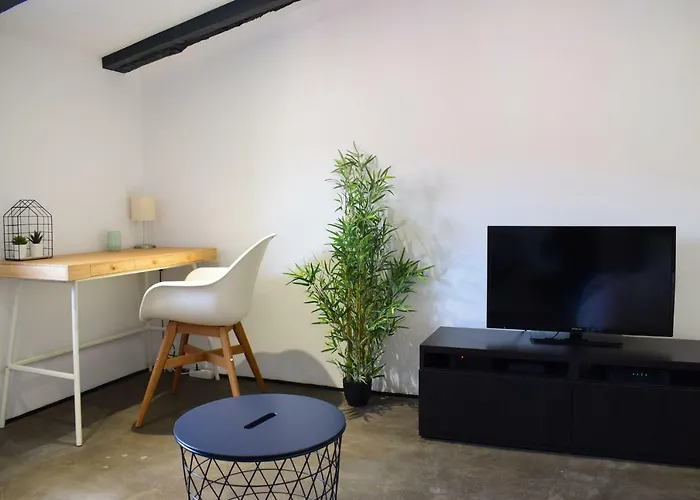 Centre ☆ Wifi ☆ Clim ☆ Plages Apartment *